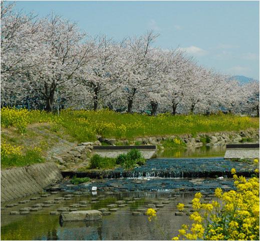 福岡県筑前町情報