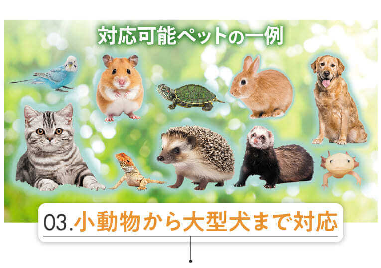 犬・猫・ハムスター・うさぎ・ハリネズミ・モルモット・フェレット・チンチラ・熱帯魚・鳥・インコ・亀・爬虫類など様々なペットにも対応