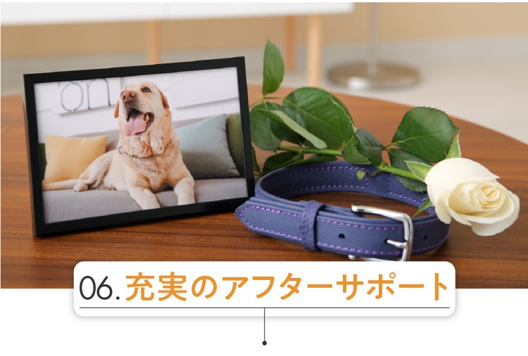 アフターサポート
