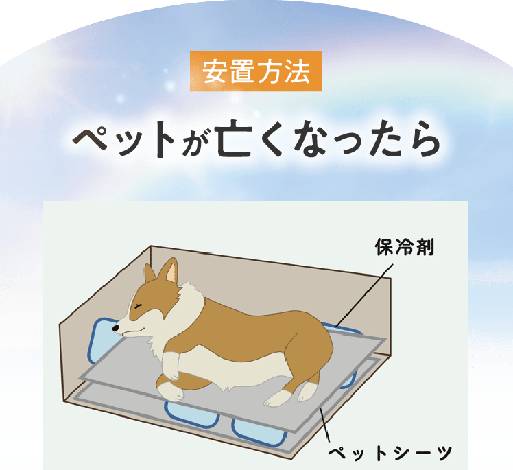 ペットが亡くなったら処置方法