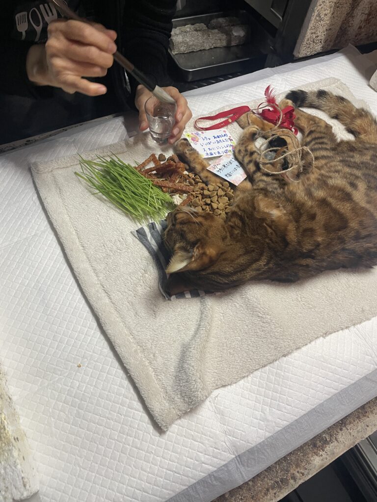 筑後市で末期の水を行うご家族とトラちゃん