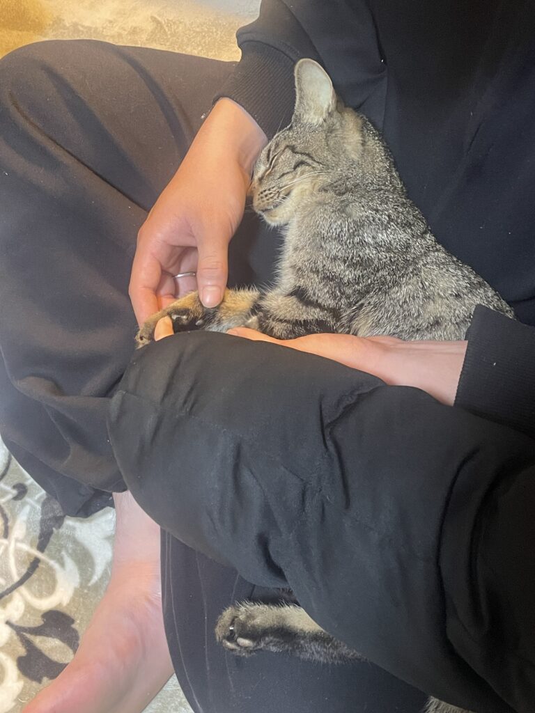 福岡県久留米市南の自宅であおばちゃんを抱っこしてお見送りする様子