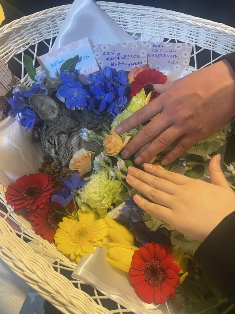 出棺前に手を添えてありがとうを伝える家族|久留米市南ペット葬儀