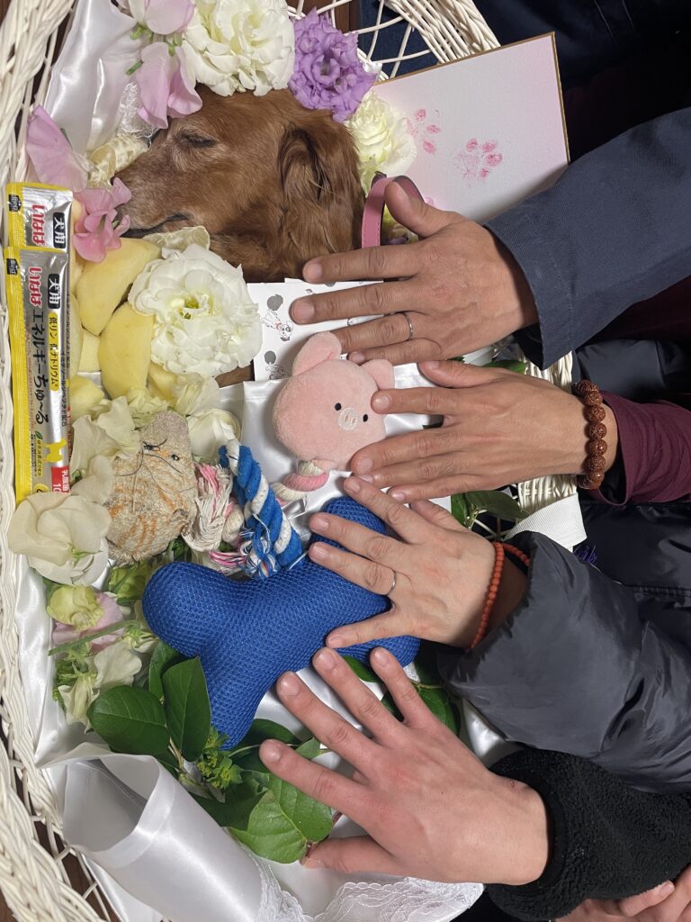 大好きなおやつとお花に囲まれたチコちゃんのバスケット