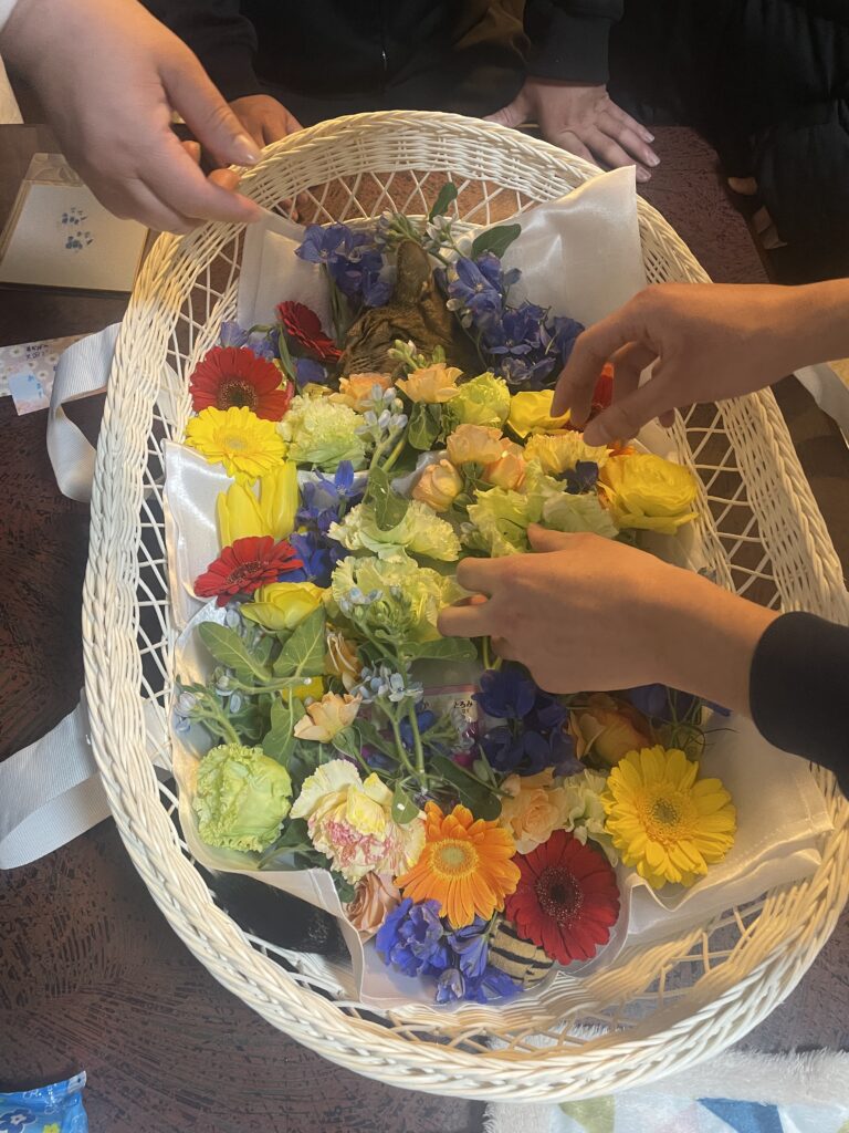 お花と好きな食べ物に囲まれたあおばちゃんとの最後のお別れ|久留米市ペット火葬