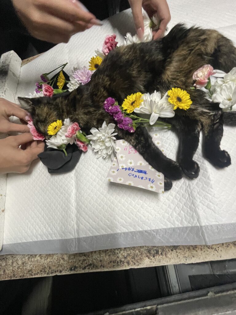 上峰町でモカちゃんのお見送りに花や好きな物を飾った様子