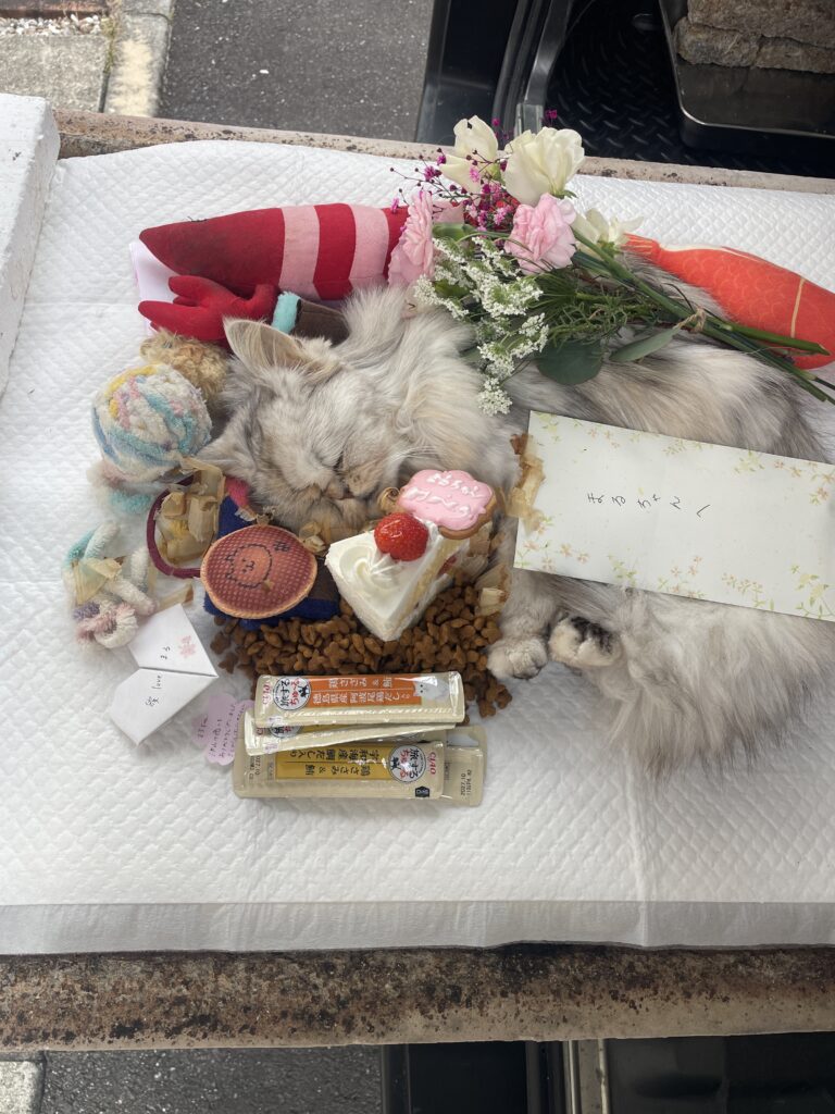 まるちゃんの周りに好きだった食べ物と手紙を飾ったお見送り