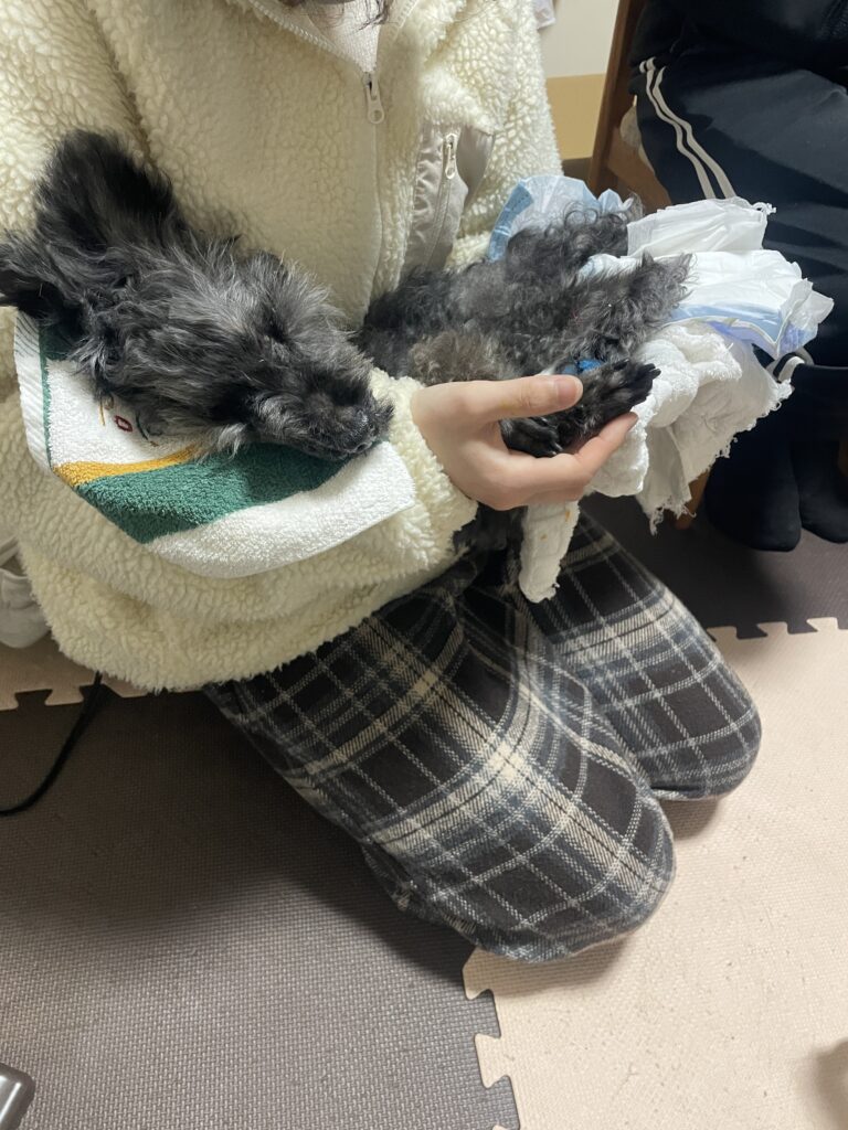 家族に抱きしめられるtotoしゃん
