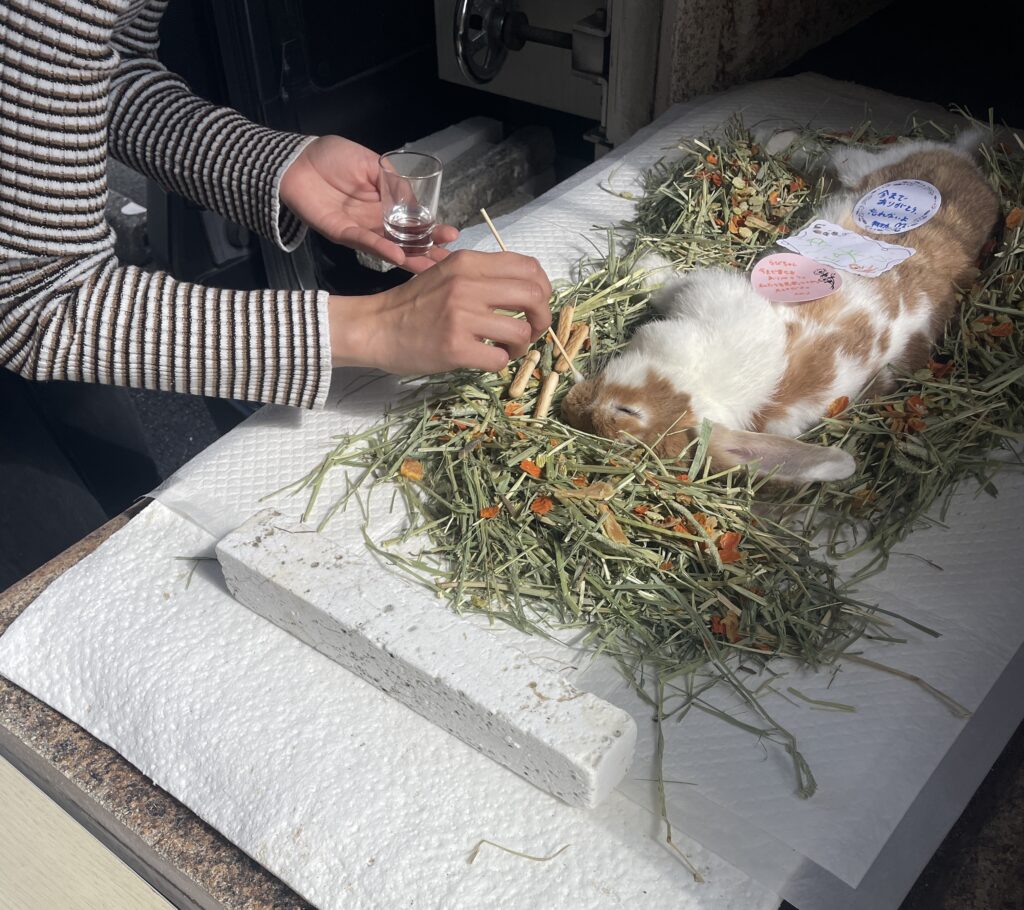 八女郡広川町 ペット火葬 末期の水 お見送り