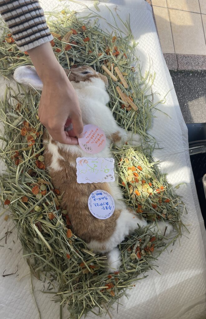 八女郡広川町 ペット火葬 お供え 食べ物 手紙