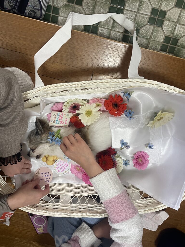 佐賀県鳥栖市 ペット火葬 お供え 食べ物 手紙