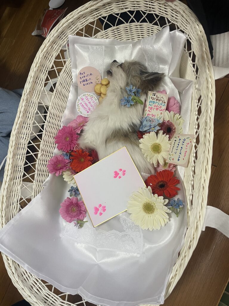 佐賀県鳥栖市 ペット火葬 肉球スタンプ お見送り