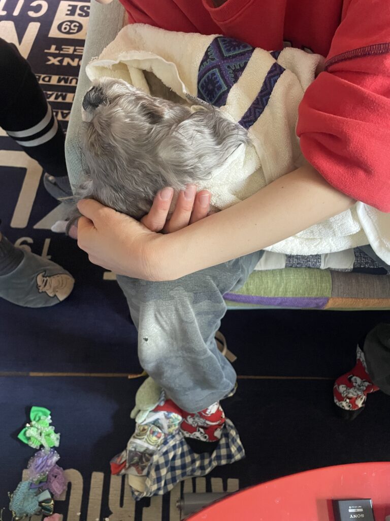 鳥栖市でクーさんを抱きしめるお見送りの様子