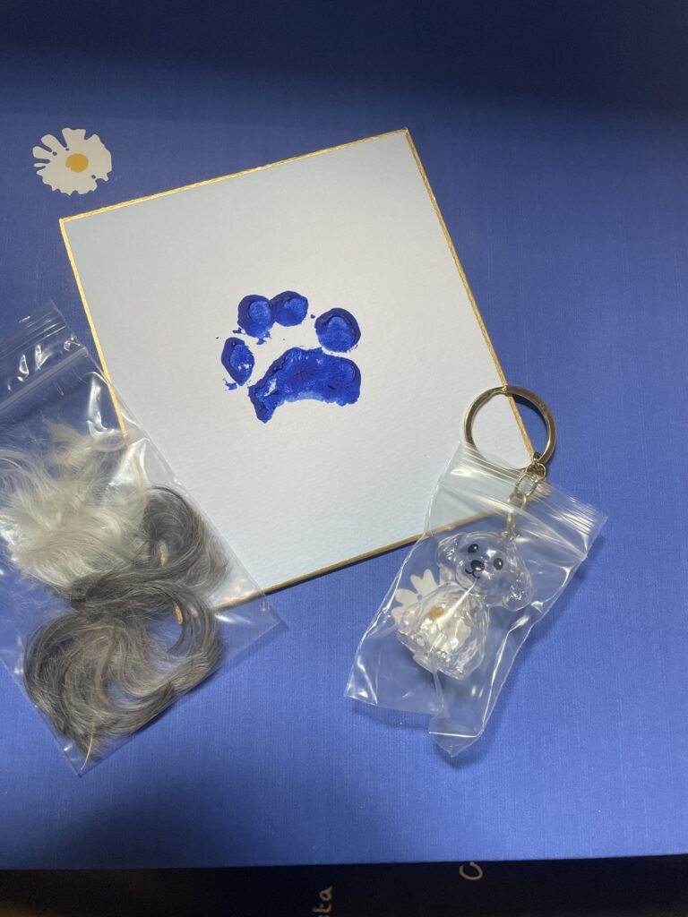 クーさんの肉球スタンプと遺毛キーホルダー