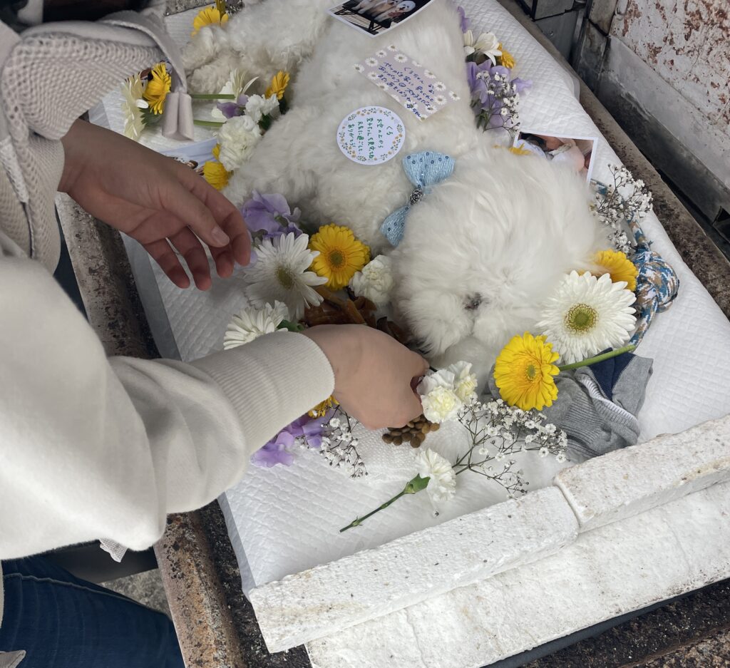 吉野ヶ里町で花に囲まれたペットちゃんのお見送り