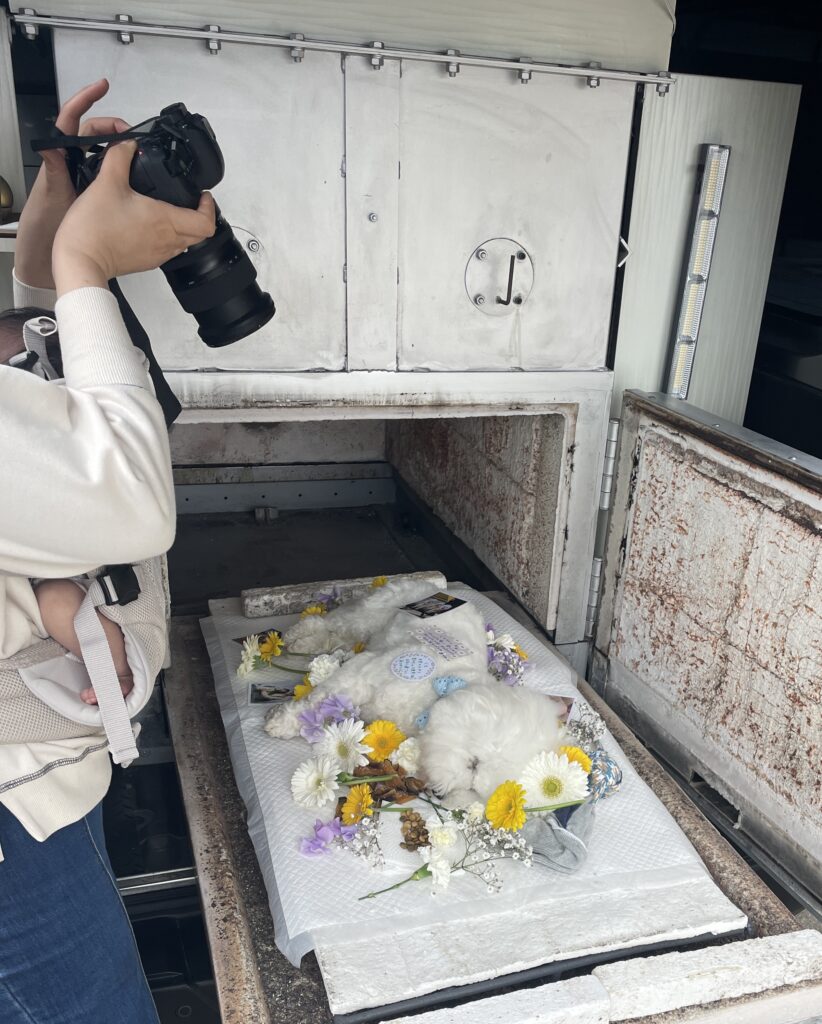 吉野ヶ里町で思い出の写真を撮る家族の様子