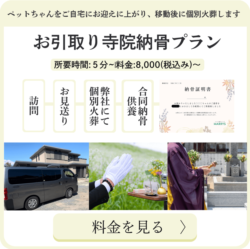 ペット個別火葬お引き取りプラン